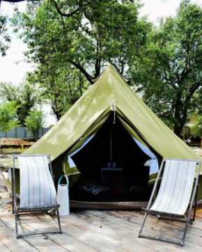 BELLTENT SAVICA